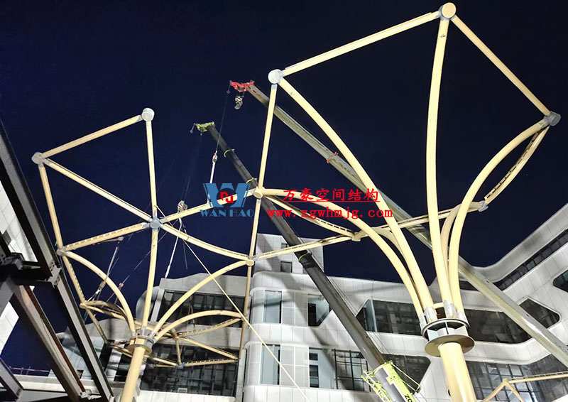 膜結構工程吊裝